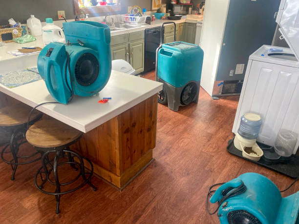 Reliable Mcswain, CA Water damage restoration Solutions