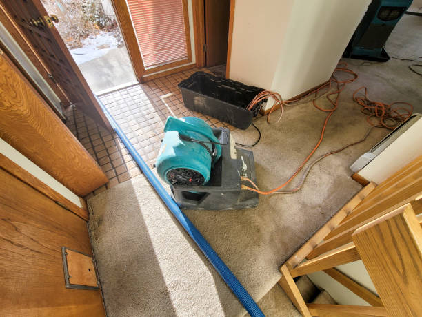 Best Water damage restoration services  in Mcswain, CA
