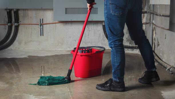 Best Flood damage cleanup  in Mcswain, CA