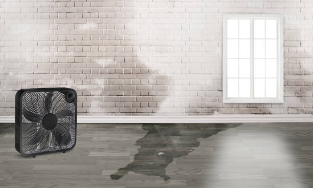Best 24/7 water damage repair  in Mcswain, CA