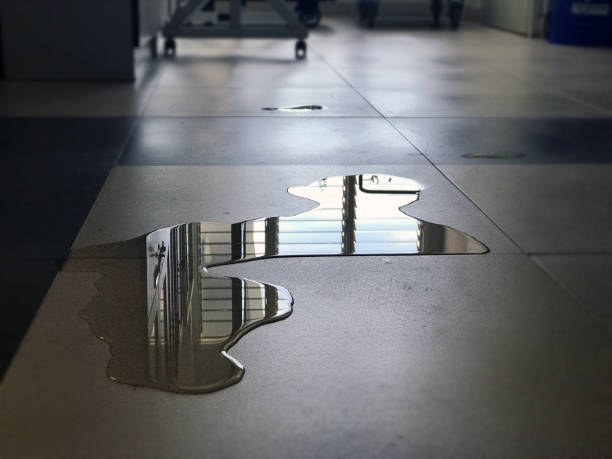 Best Water damage restoration near me  in Mcswain, CA