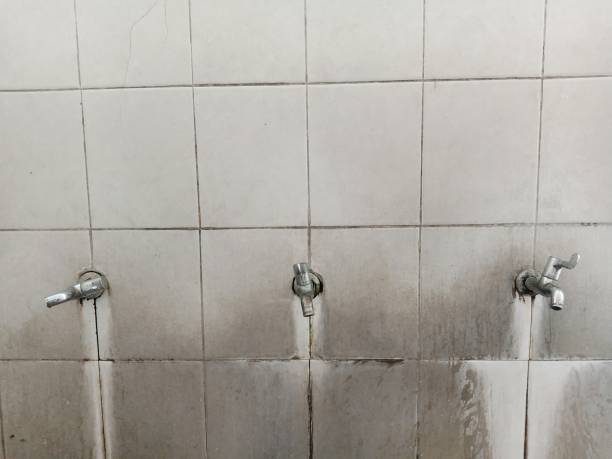 Best Water damage cleanup near me  in Mcswain, CA