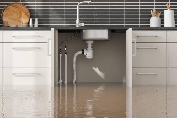 Best Flood restoration services  in Mcswain, CA