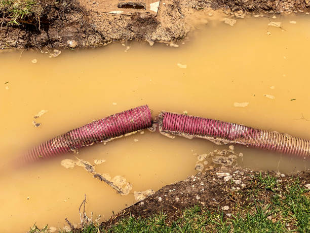 Best Water damage restoration near me  in Mcswain, CA